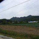 팔봉산주유소 이미지