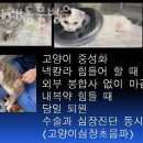금나래동물병원 이미지