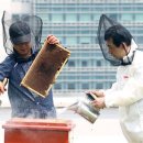 대전시청 이미지