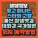장생포초등학교 | 생생정보 믿고 떠나는 스타의 고장 가수 윤수일과 함께 울산 장생옛길 태화강 국가정원(+위치 주자정보...