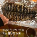 안양일번가 술집, 일번가포차 해산물 노포 포장마차 (헌팅?...)