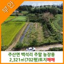 참신한공인중개사사무소 이미지