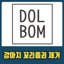 돌봄동물병원(나