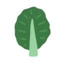 채식요리(주간) 이미지