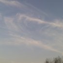 좋고좋다 이미지