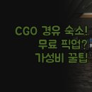 어린이체스A | 비교 | CGO 경유 숙소 완벽 정리 | 무료 픽업 및 가성비 꿀팁 | 카이푸 젠궈 윤르 블룸 플로럴 실제 후기