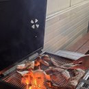 개멍물멍 이미지