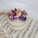 메리고제니 이미지