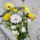 쥬레아플라워