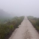 숲속의 하얀펜션 이미지