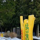 남조로사려니숲길 앞 이미지