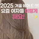 모카in헤어 이미지