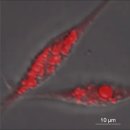 김상희 | [월간 일본 수산 칼럼] 김상희 리포트 Vol.13