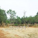 완도금일고등학교 이미지