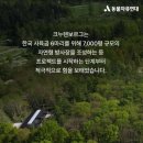 인천종합나무농장
