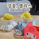 강릉;앨리스 이미지