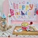 프레셔스독 이미지