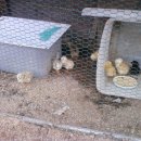 동혜농장 이미지