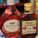 러블리숑 | [포르투갈] 포르투 여행 기념품ㅣ정어리통조림·포트와인·물감잼·쿠토 치약 쇼핑리스트 총정리