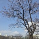 길머리 공원 이미지