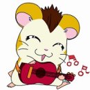 라운지코코