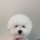 예몽 이미지