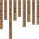 까멜리아인구룡포