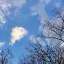 베이비시터 자격증 과정 이미지