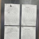 금성녹두삼계탕 이미지