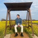 다올웨스턴 | [호텔 리뷰] 인천 영종도 네스트호텔 스탠다드 오션뷰 호캉스 (+ 조식)