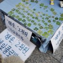 돌캐 | 상반기결산! Goal in challange 🍀