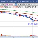 평화메딕스