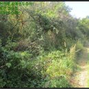 내서면 노류리 이미지