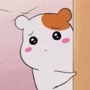 모스트(MOST) 이미지