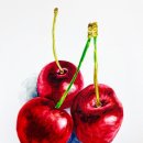 평촌초등학교 앞 이미지