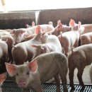 태화농장 이미지