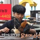 홍익농장 이미지