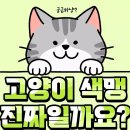 307. 고양이는 색맹,색약 유무! 이미지