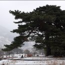 매동둘레길 입구 이미지