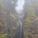 연출의 자유인 | 설악산 흘림골에서 주전골 트레킹