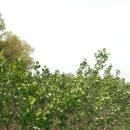 건희농장 이미지