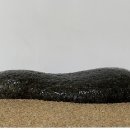 경호강수석 이미지