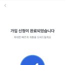 모요 이미지
