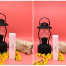 스텔라이 이미지