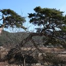 내서읍440 | 마산 내서읍 광산사 가는 길