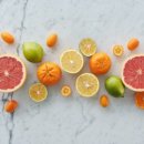 굿바디핏 이미지