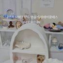 (원데이) 나를 표현하는 향수 이미지