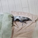 세탁하는날 | 초보 주부 필독! 비닐 없이 운동화 세탁하는 현실 꿀팁