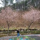 순천중앙초등학교 | [보성숙소추천] 전남권환경성질환예방관리센터(보성치유센터) 숙박 및 족욕, 찜찔방 이용후기