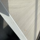 명륜진사갈비(의성점) 이미지